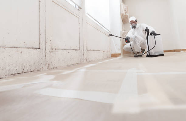 24/7 Emergency Basement Mold Remediation experts in Damascus, OR
